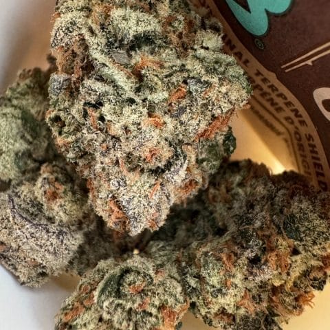 Vampire Slayer THCa Indoor Flower